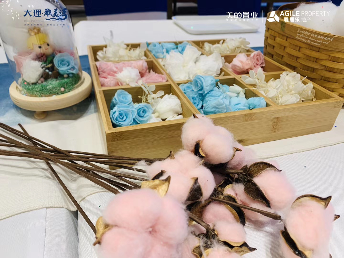 大理活動策劃 大理活動策劃