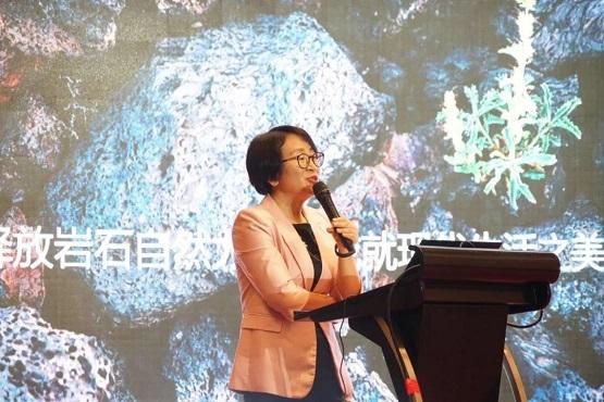 大理會議 大理會議