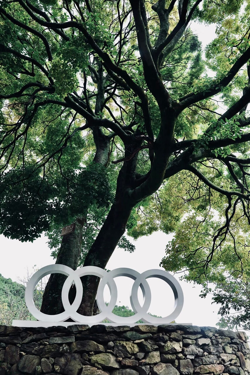 奧迪A6大理洱源鳳羽稻田劇場試駕之旅 奧迪A6大理洱源鳳羽稻田劇場試駕之旅