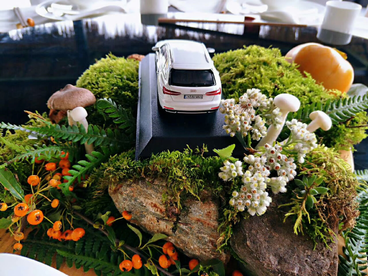 奧迪A6大理洱源鳳羽稻田劇場試駕之旅 奧迪A6大理洱源鳳羽稻田劇場試駕之旅