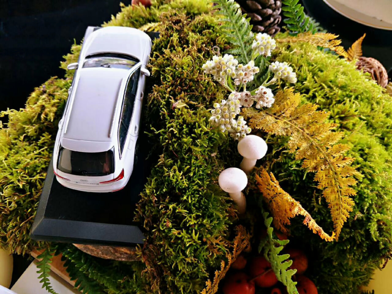 奧迪A6大理洱源鳳羽稻田劇場試駕之旅 奧迪A6大理洱源鳳羽稻田劇場試駕之旅