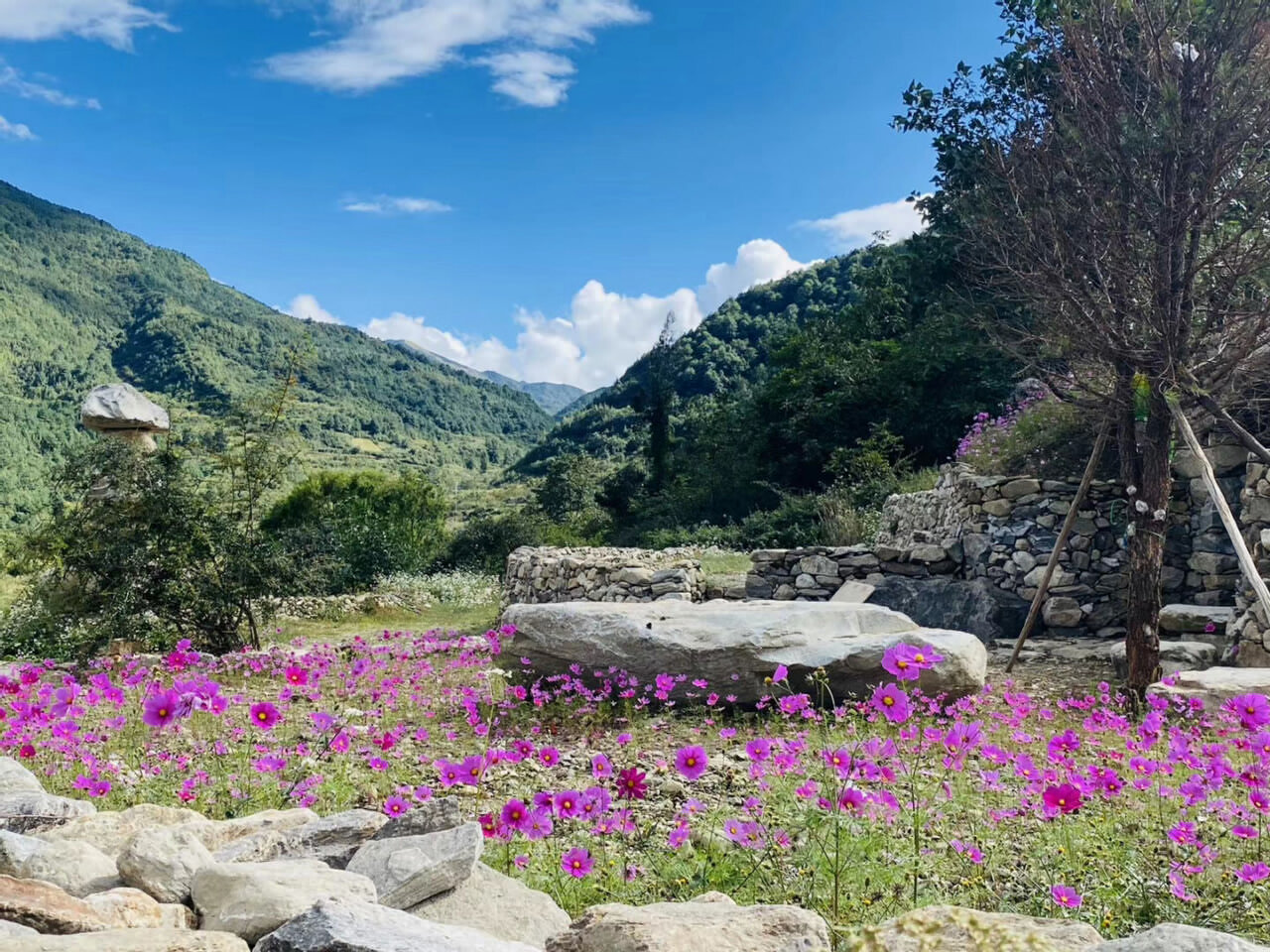 大理洱源鳳羽稻田劇場 大理洱源鳳羽稻田劇場