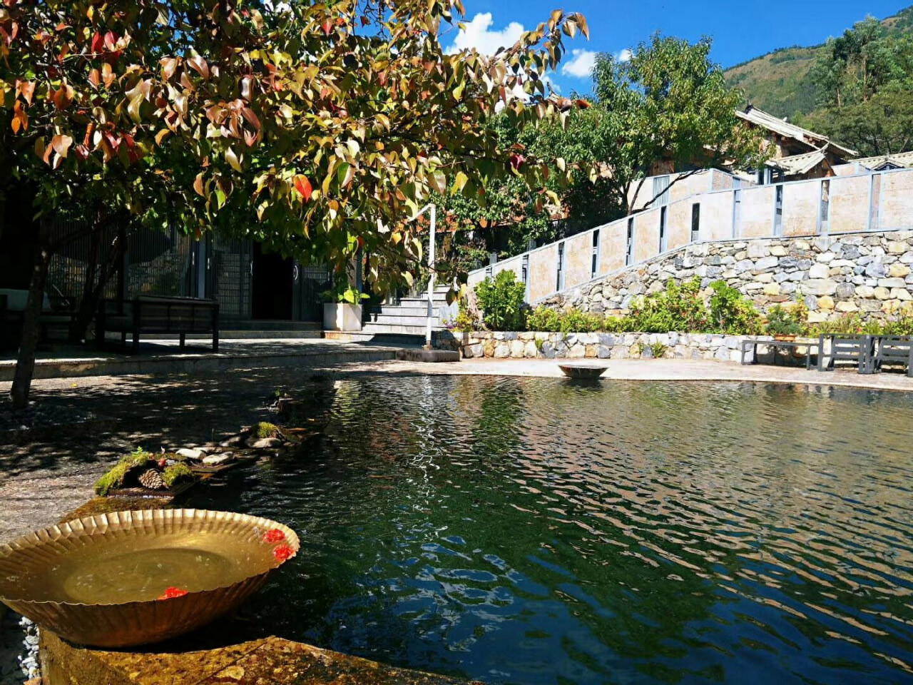 大理洱源鳳羽稻田劇場 大理洱源鳳羽稻田劇場