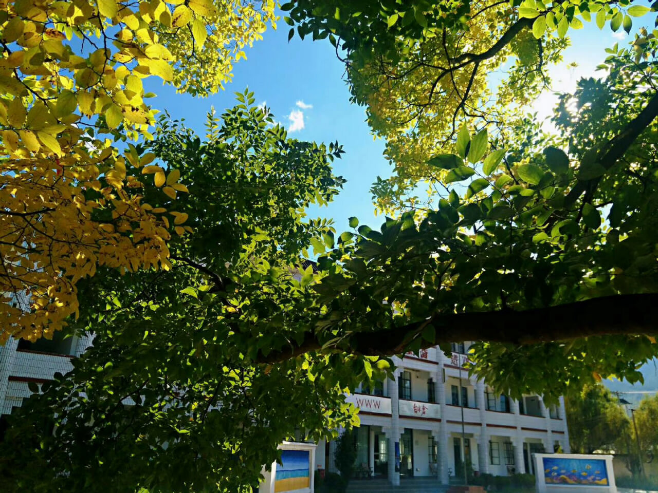 大理洱源鳳羽稻田劇場 大理洱源鳳羽稻田劇場