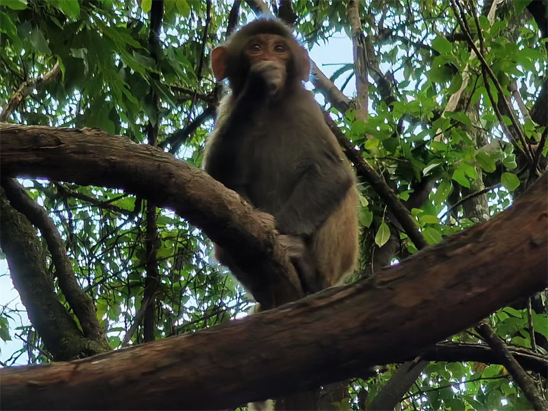 大理劍川石寶山景區 大理劍川石寶山景區