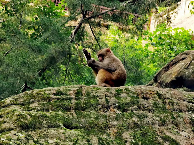 大理劍川石寶山景區 大理劍川石寶山景區