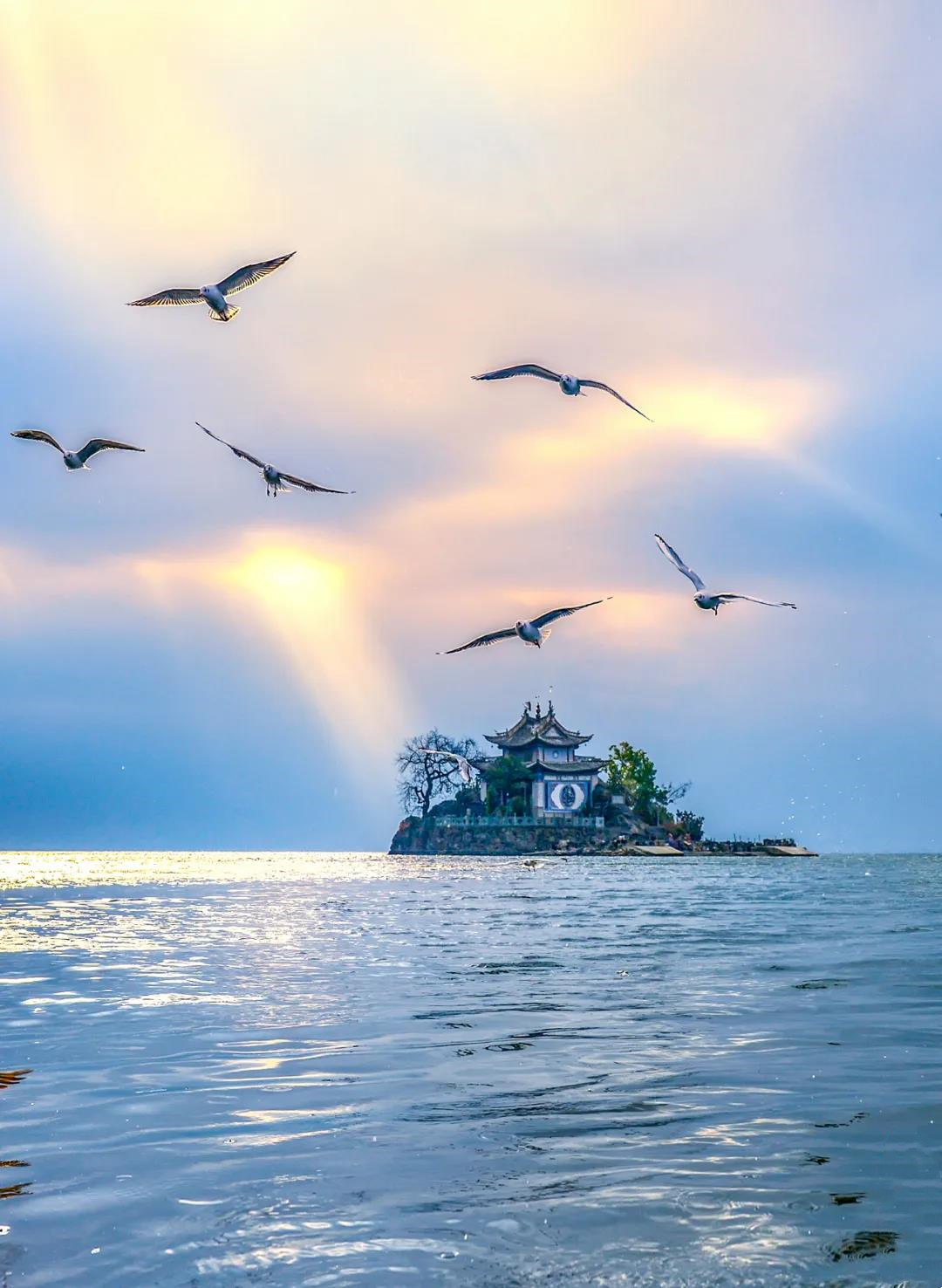 洱海小普陀 洱海小普陀