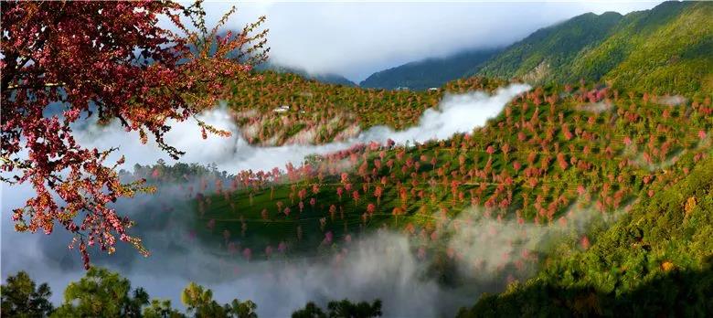 大理南澗 大理南澗