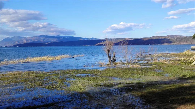 大理洱海｜萬頃洱海揚清波，一湖碧水映蒼山