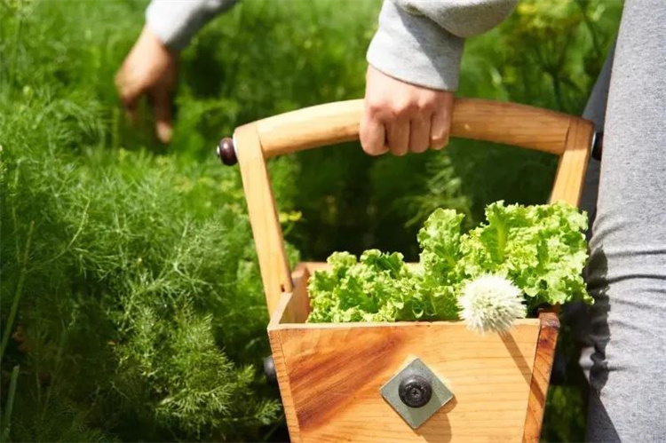 素方舟自然生活市集 素方舟自然生活市集