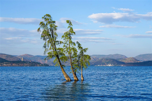 云南旅游,云南旅行社,云南團建公司,云南策劃公司,云南會議會展,云南旅游地接,大理旅游,大理旅行社,大理團建公司,大理策劃公司,大理會議會展：避暑，為什么要去大理？