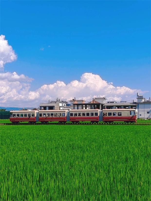大理旅游,大理旅行社,大理團建公司,大理策劃公司,大理會議會展,云南旅游,云南旅行社,云南團建公司,云南策劃公司,云南會議會展：坐上喜洲稻田小火車，一秒進入動漫畫卷