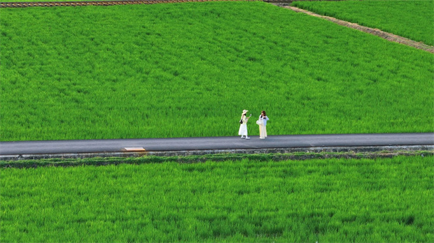 云南旅游,云南旅行社,云南團建公司,云南策劃公司,云南會議會展,大理旅游,大理旅行社,大理團建公司,大理會議會展：去大理，坐上那趟心愛的小火車